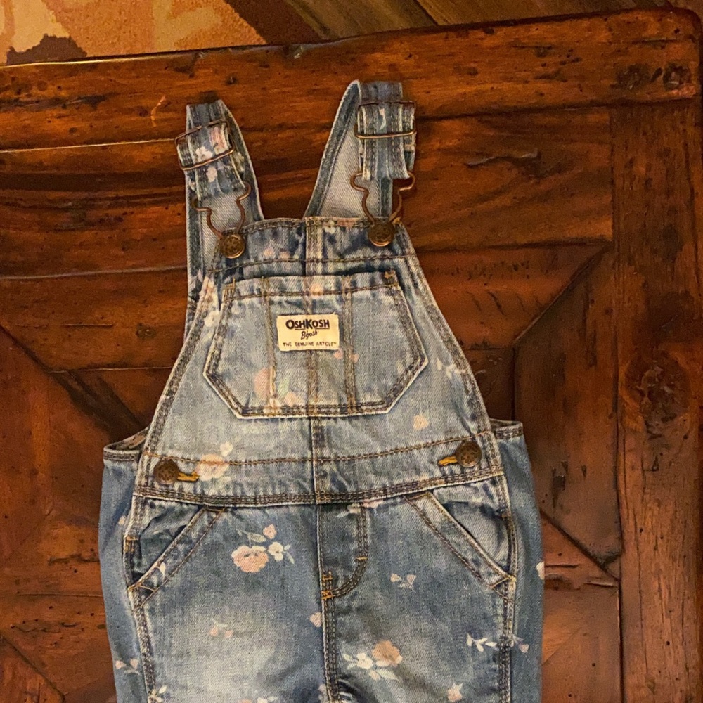 The CUTEST OshKosh Denim Floral Detail Baby Girl Overalls, Size 6-9 Months